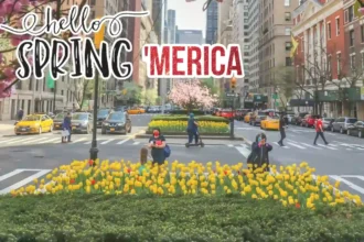 4 Best Places to Visit During Spring Break in the USA